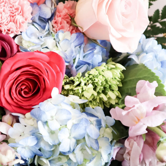 Classy Designer Choice