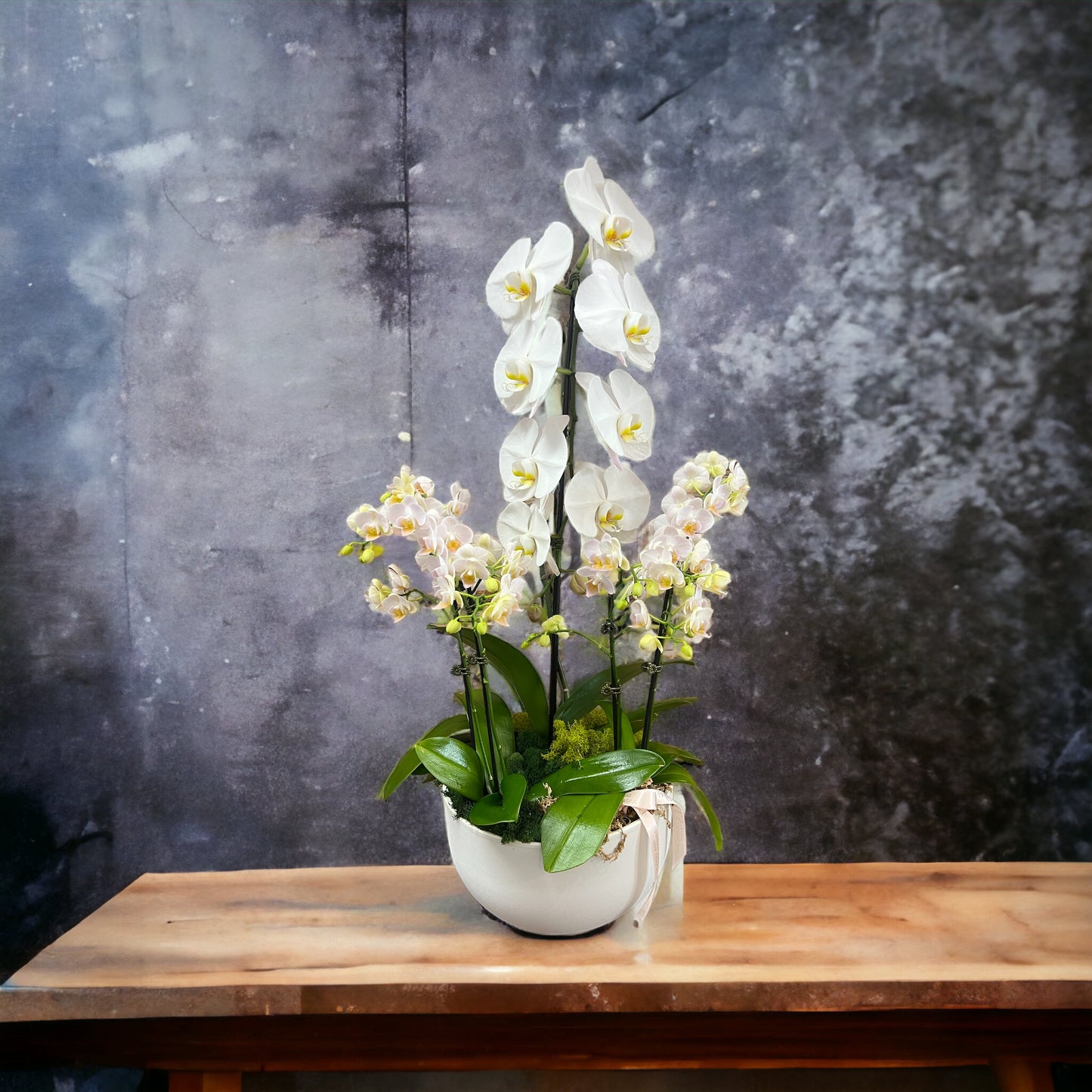 Orchid Planter