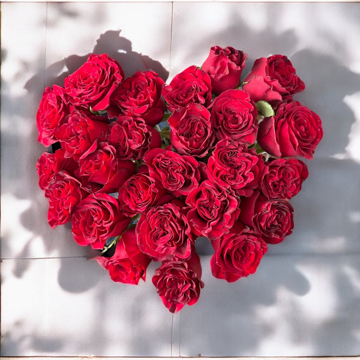 Heart Shape 50 Roses