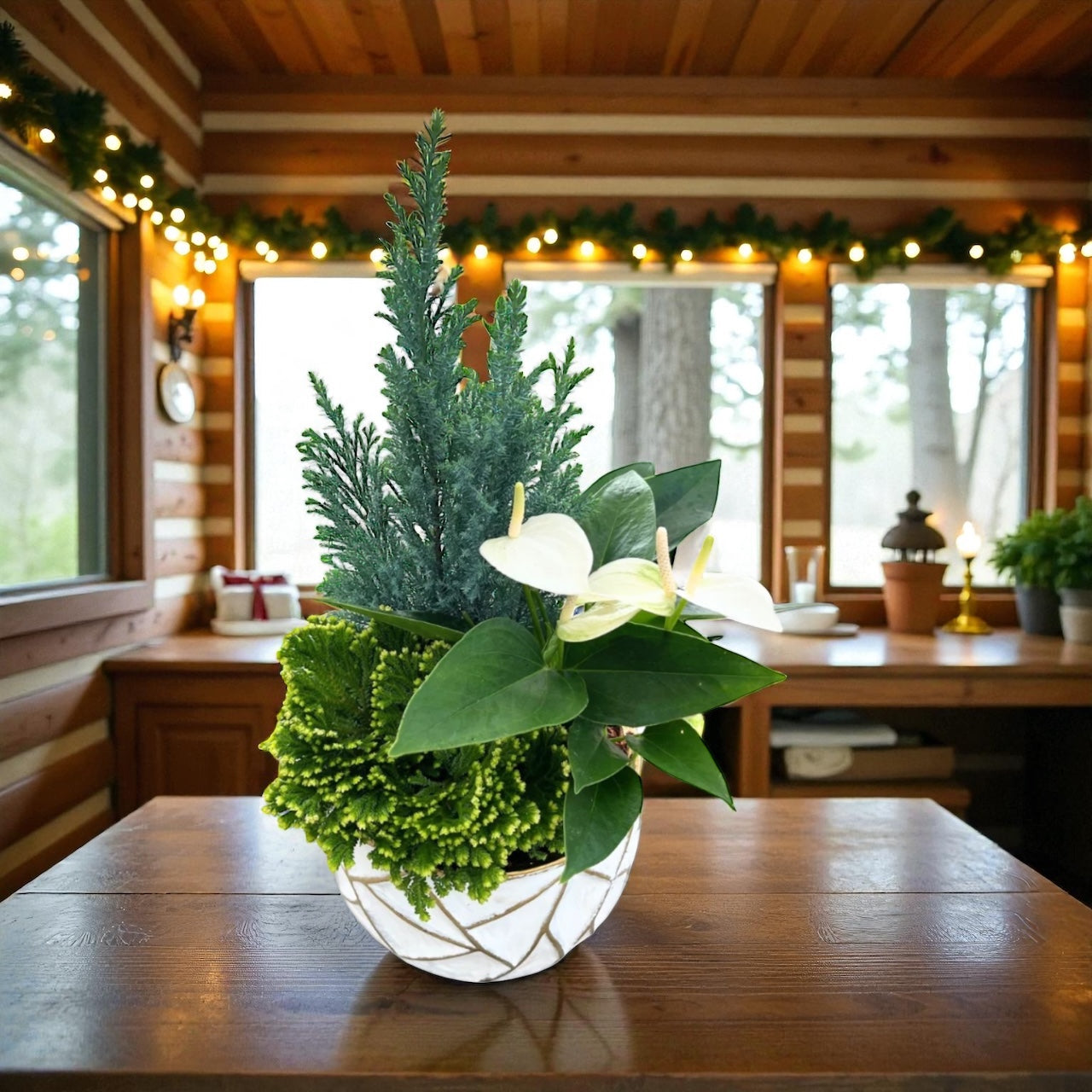 Evergreen Harmony Planter