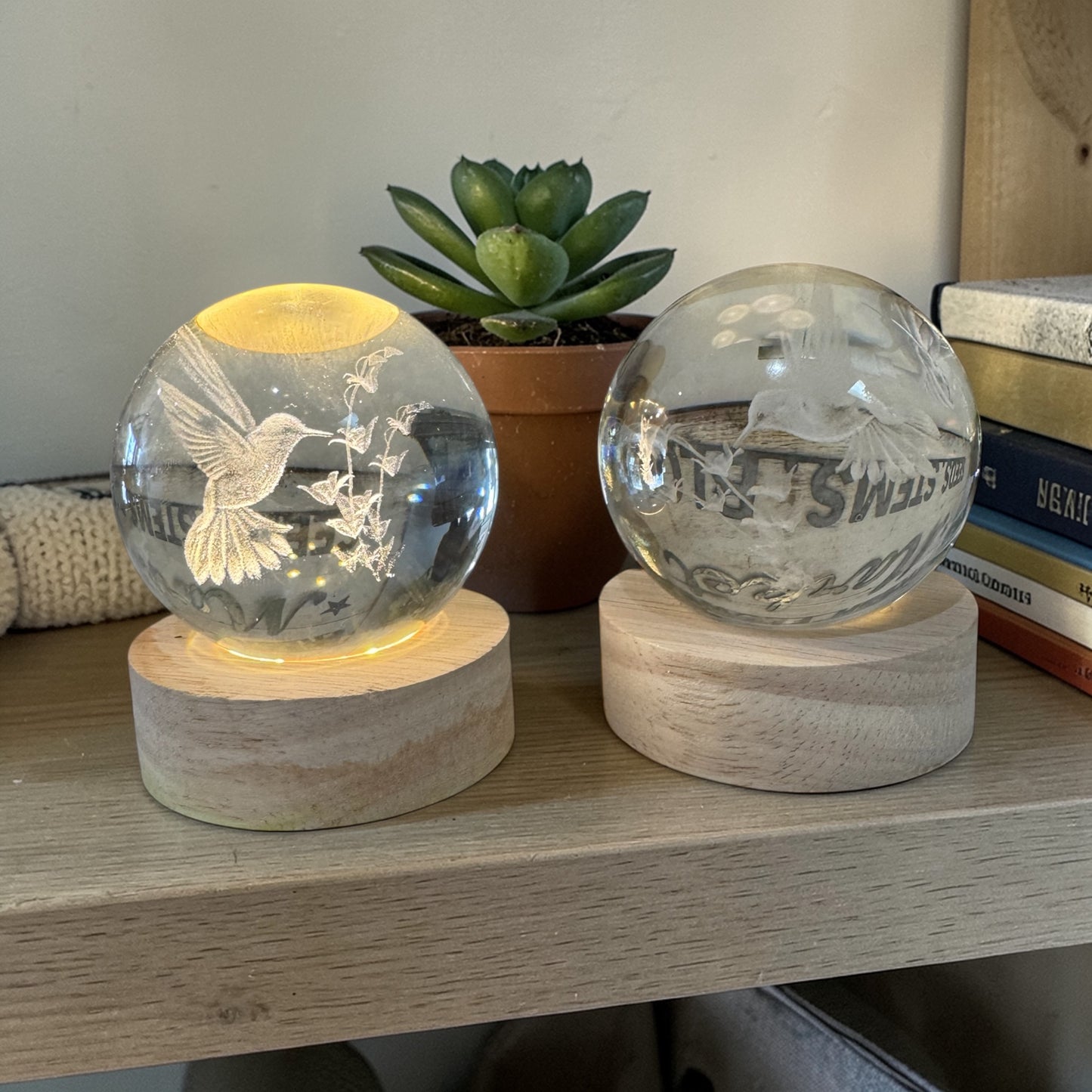 Hummingbird Glow Lamps