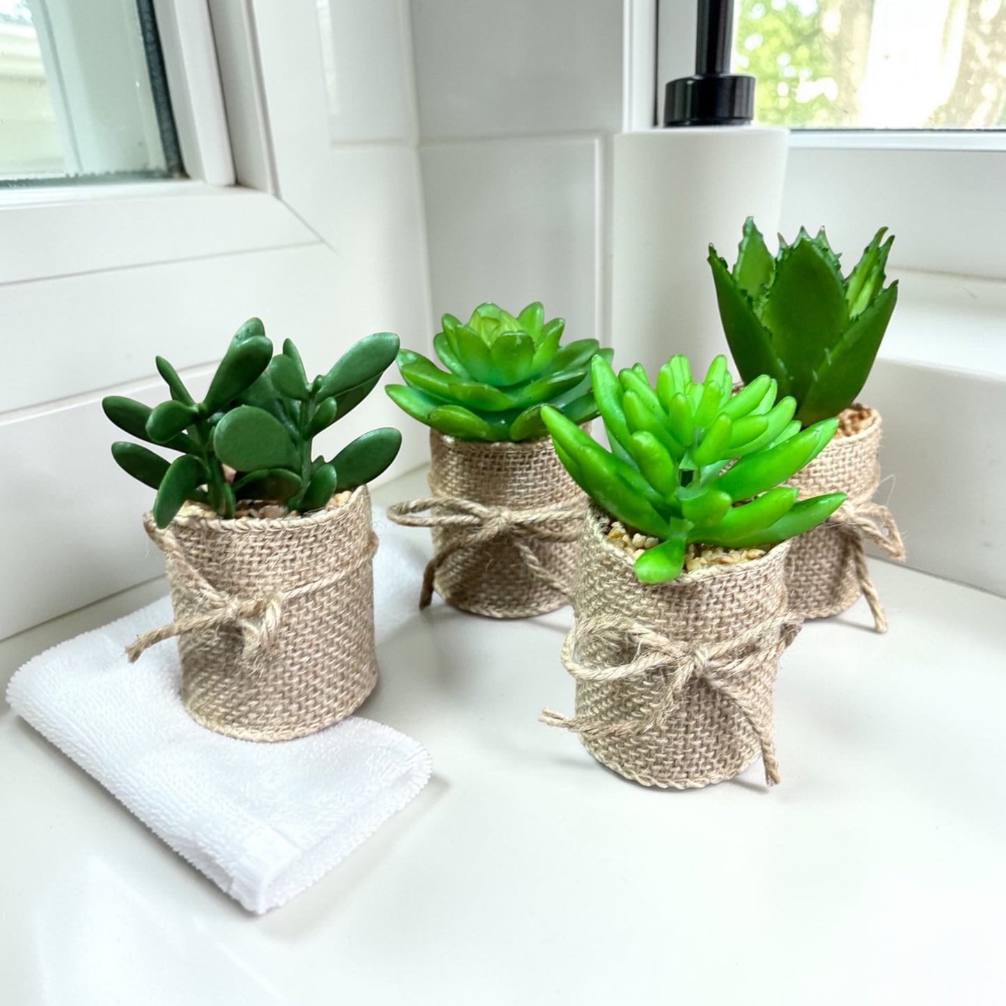 Mini Succulent Charm Set (Set of 4)